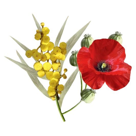 Black Obsidian Front