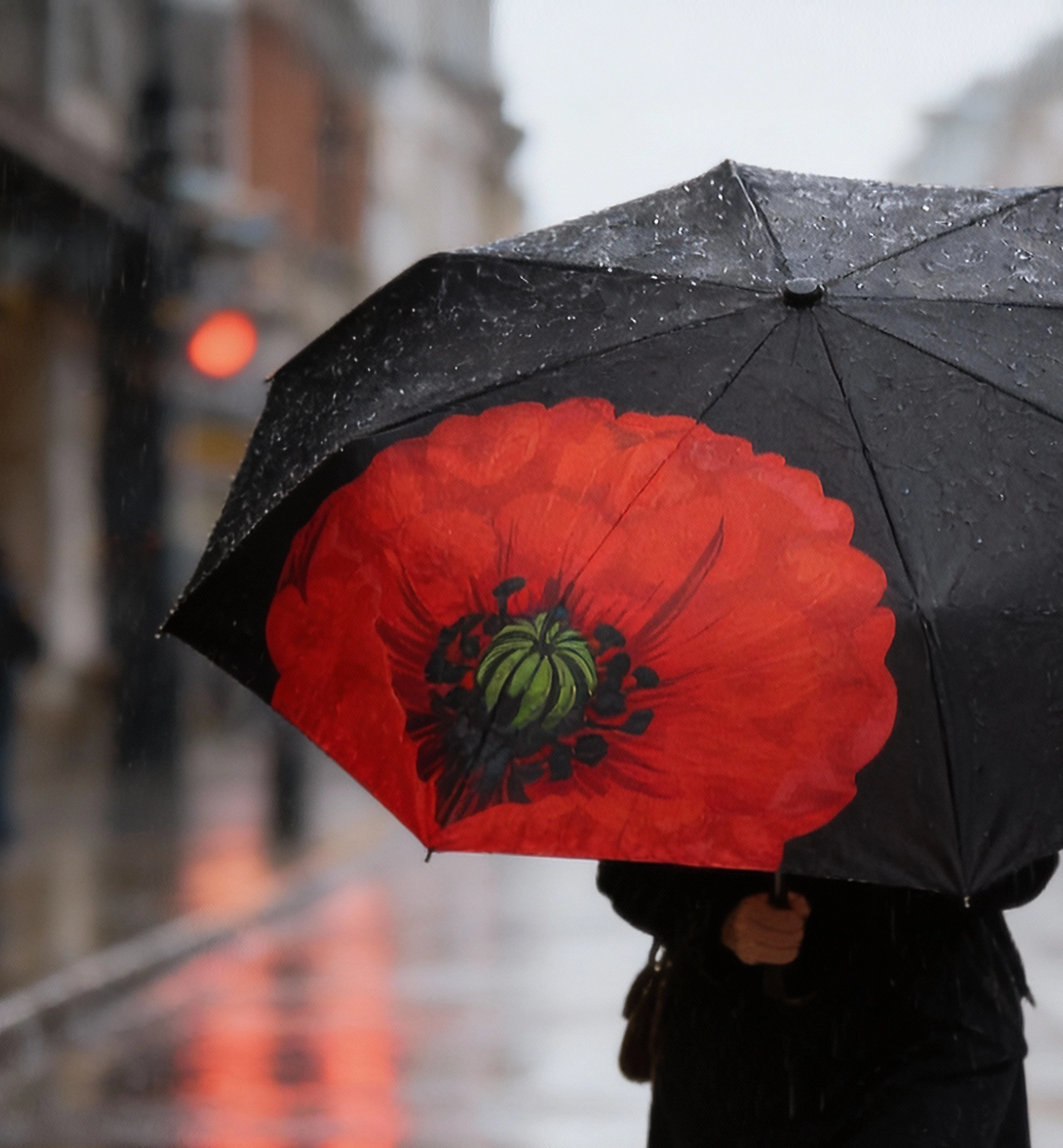Model wearing Tiger's Eye Poppy Brooch